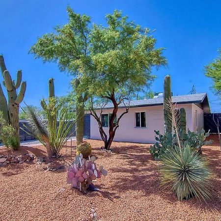 Uofa Desert Hollywood Tucson Ngoại thất bức ảnh