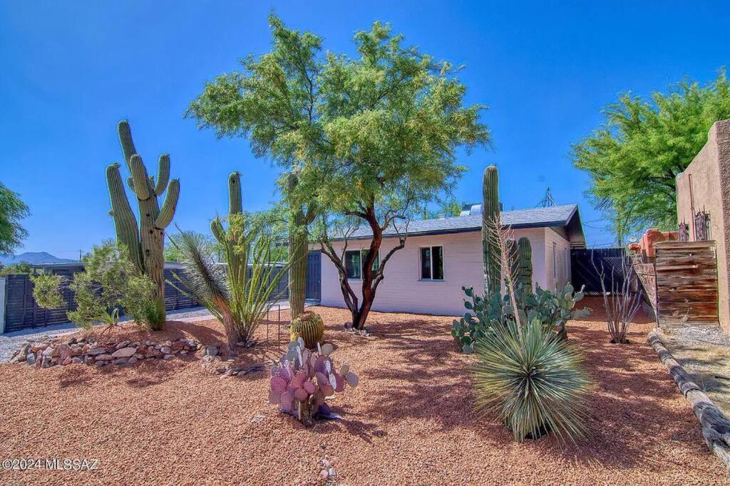 Uofa Desert Hollywood Tucson Ngoại thất bức ảnh